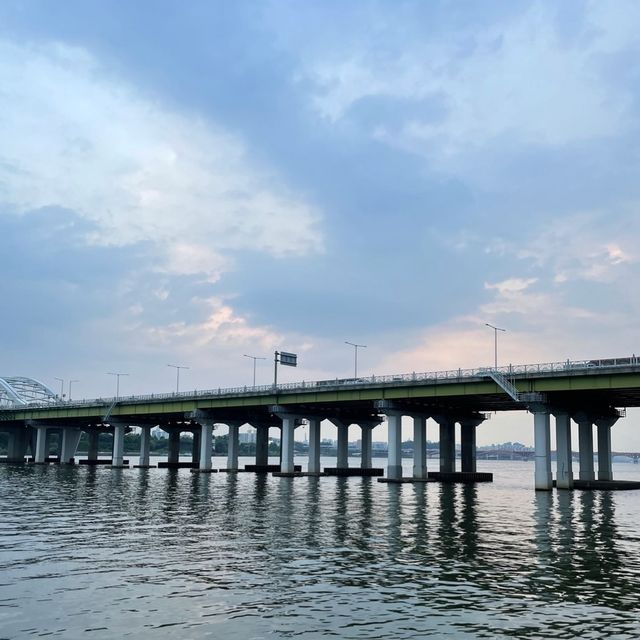 산책하고 자전거 타기 너무 좋은 한강공원💚