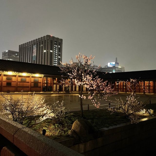 봄바람을 맞으며 즐기는 경복궁의 밤 🌙