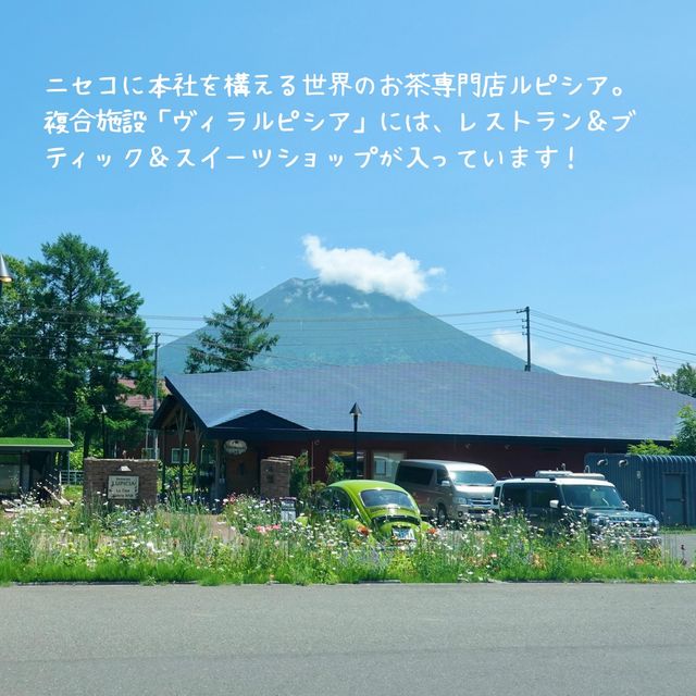 【北海道】紅茶好き必見！ニセコおすすめスポット