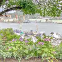 グラバー園中段のあたりの景色と紫陽花