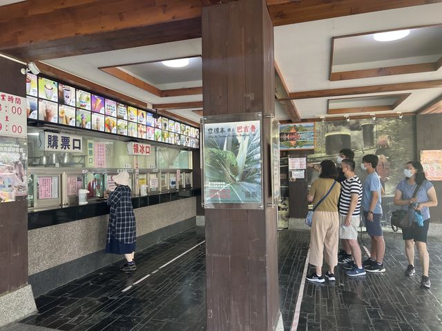 花蓮光復｜花蓮觀光糖廠，好多美味的冰超級消暑，還有池塘可以餵魚