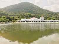 大埔小白鷺餐廳
