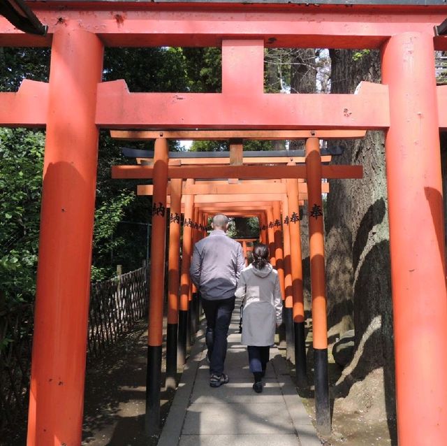 迷你版千本鳥居⛩️