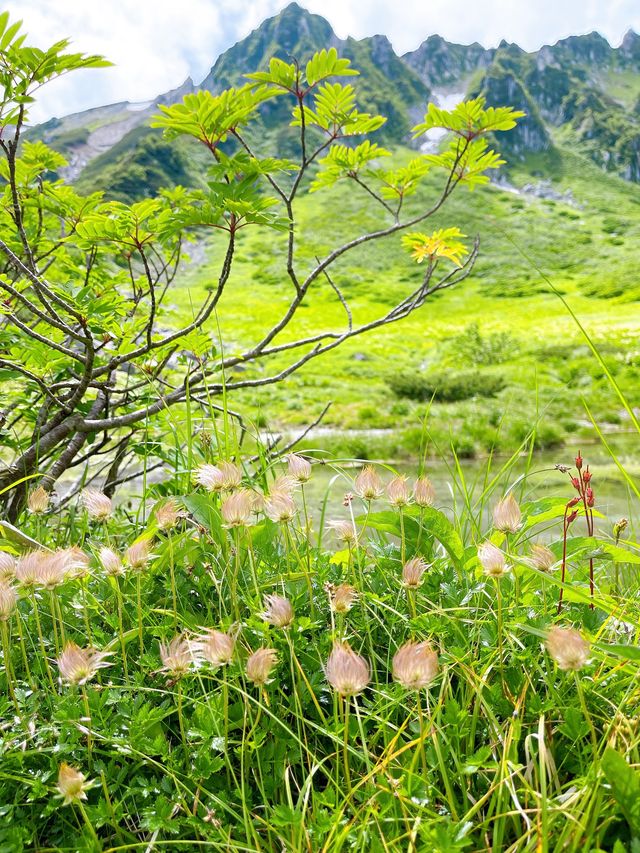 駒ヶ岳【千畳敷カール】週末山散策