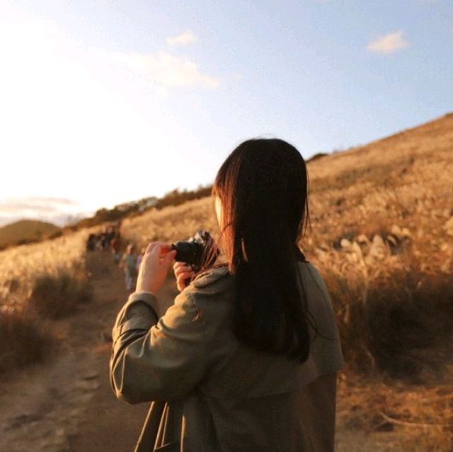 제주 오름 여행 * 새별오름