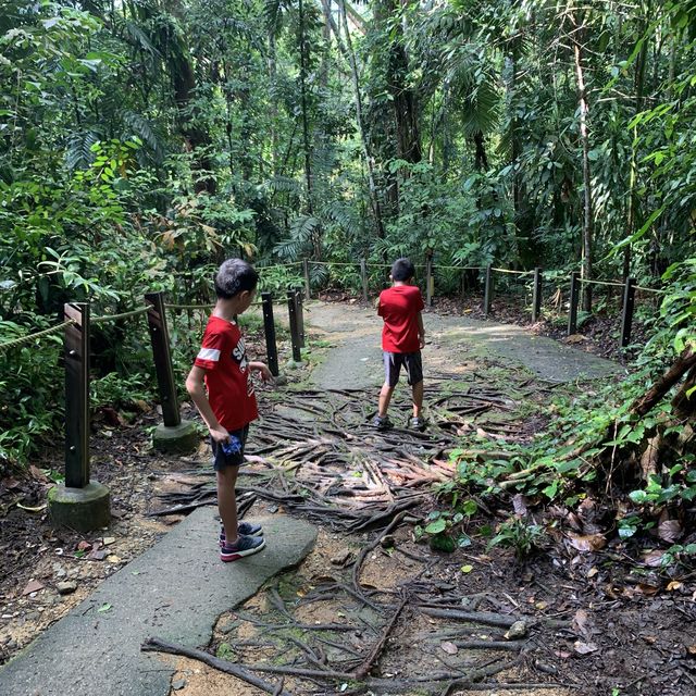 Hiking at Thomson Nature Park