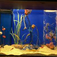 Seville aquarium 