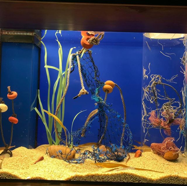 Seville aquarium 