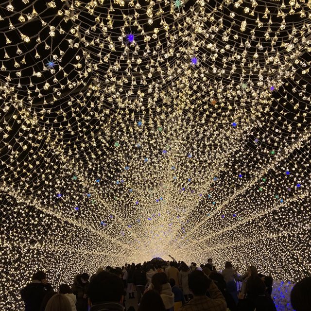 日本一イルミネーション 三重県桑名市 なばなの里