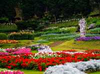 ชมดอกไม้นานาพันธุ์ที่สวนเเม่ฟ้าหลวง