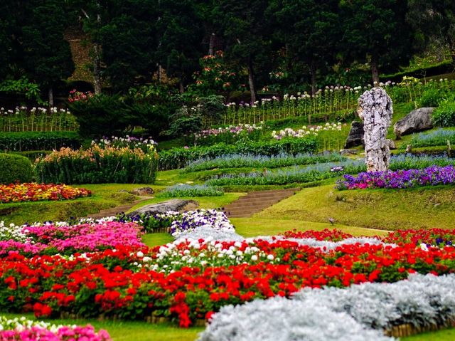 ชมดอกไม้นานาพันธุ์ที่สวนเเม่ฟ้าหลวง