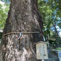 【湯河原】五所神社