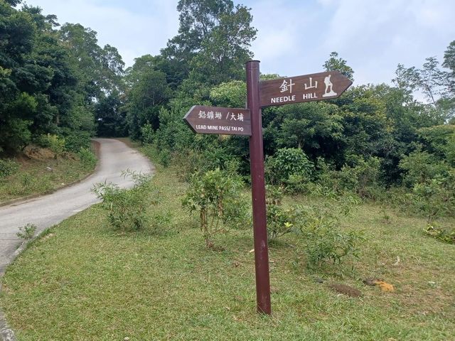 麥理浩徑第7段～針山