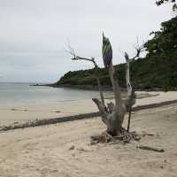 パタヤから簡単に行けるラン島