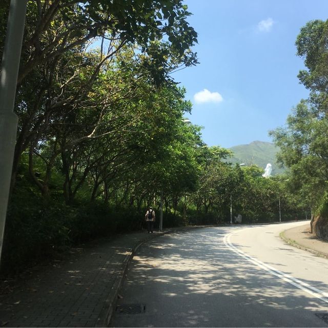 慈山寺 繁華中巍峨的清淨心 