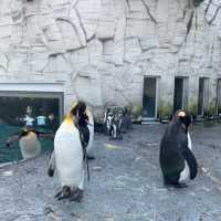【北海道:旭山】日本最北の動物園を堪能！