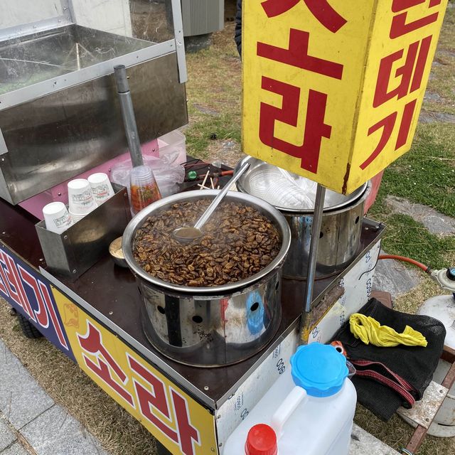 힐링장소로도 즐길 수 있는 갬성 해변, 안목해수욕장♥ 