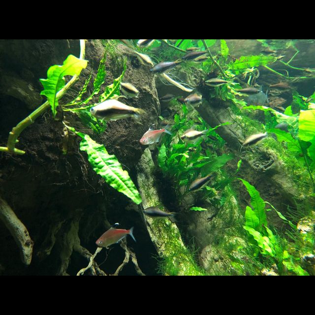 พามาเที่ยว New York Aquarium ค่ะ