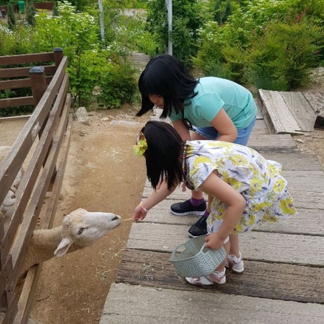 에델바이스 스위스 테마파크