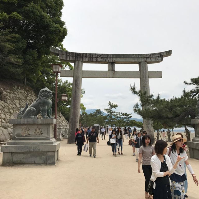 廣島世界遺產 - 嚴島神社