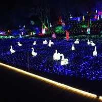 The most famous Illumination park in Japan