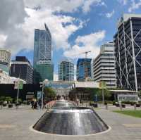 Auckland City Scape