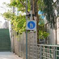 ไปถ่ายรูปสะพานเขียว ฟีลญี่ปุ่น สวนลุม-สวนเบญจกิตติ