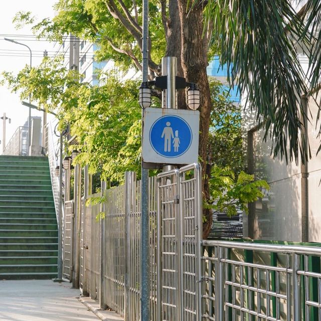 ไปถ่ายรูปสะพานเขียว ฟีลญี่ปุ่น สวนลุม-สวนเบญจกิตติ