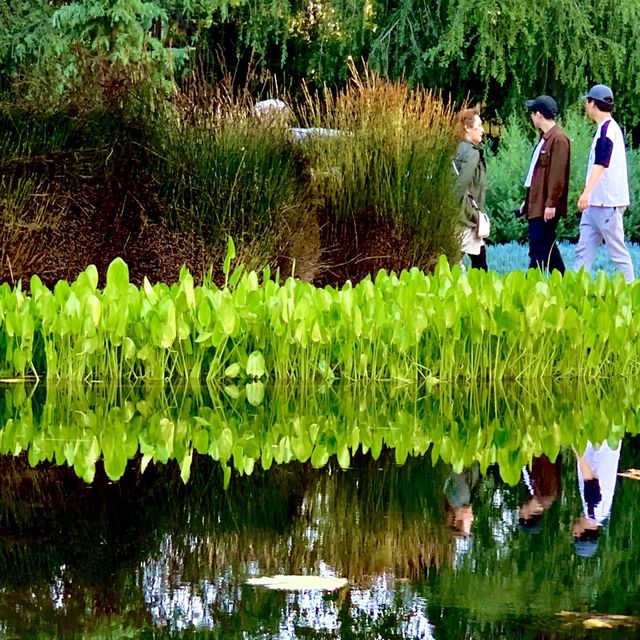 Norton Simon Museum & Sculpture Garden 