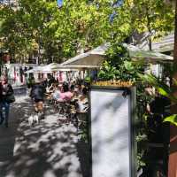 Pedestrian Shopping Street