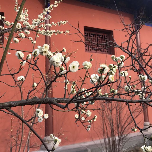 Confucious Temple in Ancient city Langzhong