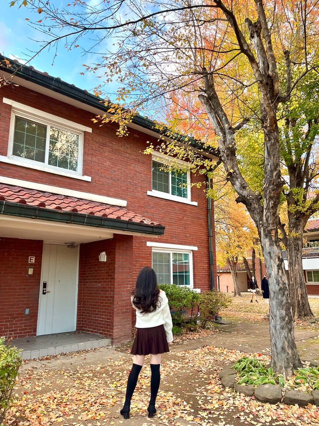 인스타 핫플, 용산공원 미군기지 ﻿✨