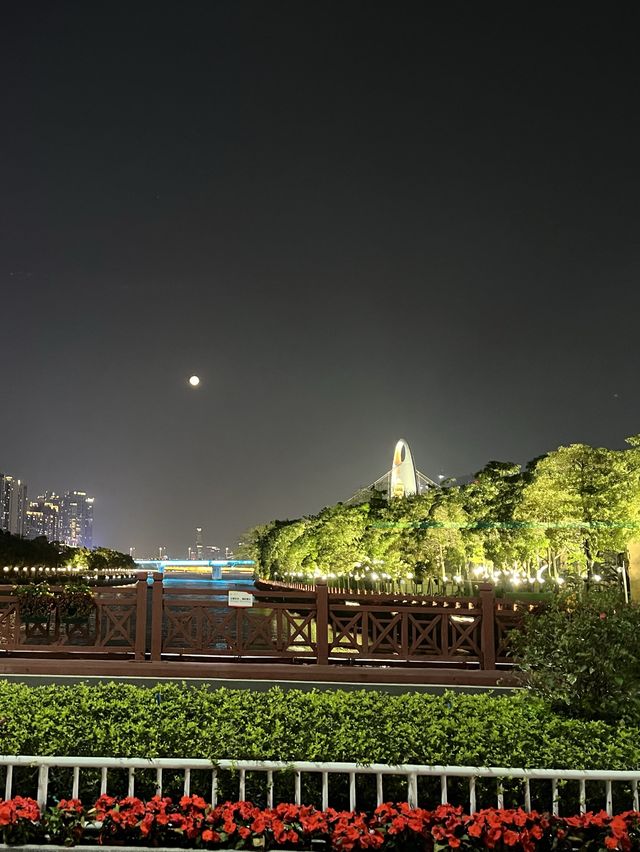 See the flowers blooming in Guangzhou City