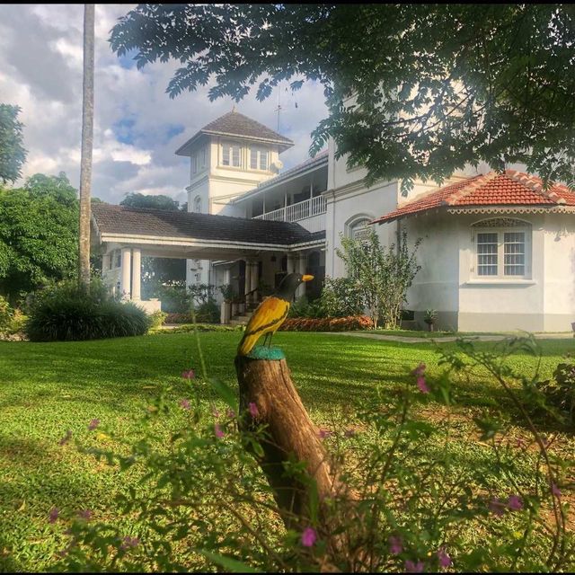 An elegant boutique hotel: Manor House 🏡 