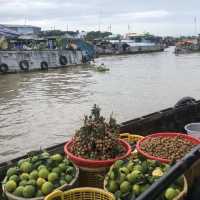 Mekong Delta - Ho Chi Minh, Vietnam