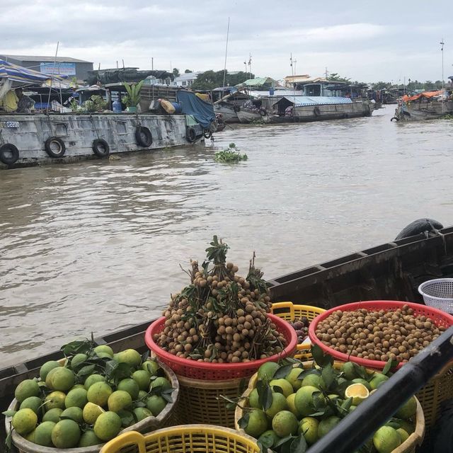 Mekong Delta - Ho Chi Minh, Vietnam