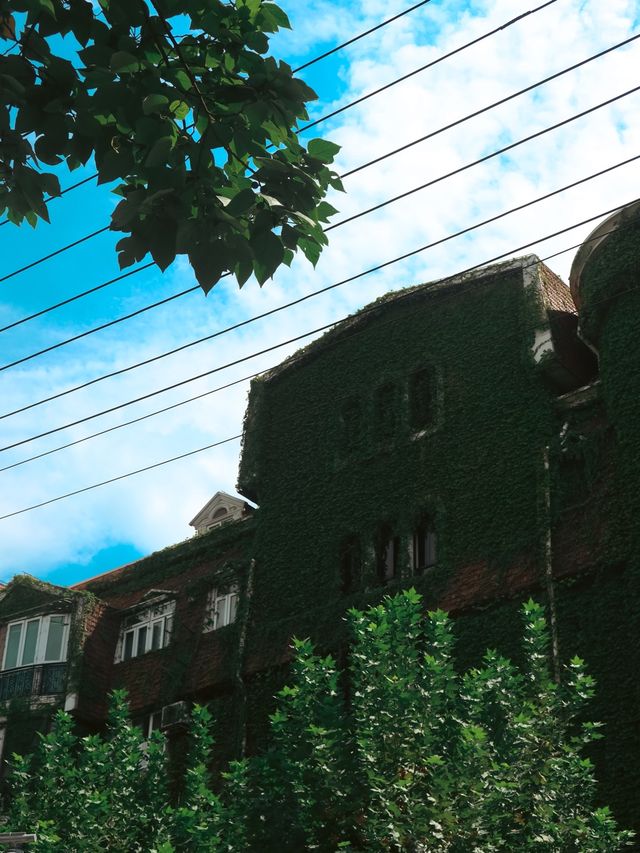 Beautiful Building on Yongjia Lu🌱🌿