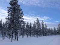 Hiking Routes in Lapland, Finland 🇫🇮☃️✈️❄️