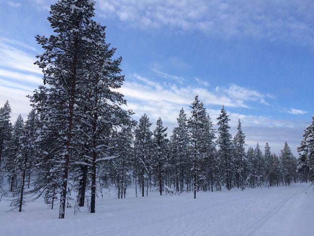 Hiking Routes in Lapland, Finland 🇫🇮☃️✈️❄️