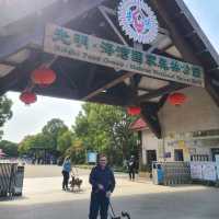 Haiwan Forest- Pet friendly & in Shanghai