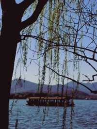 West Lake, Hangzhou🌿🌱🌳