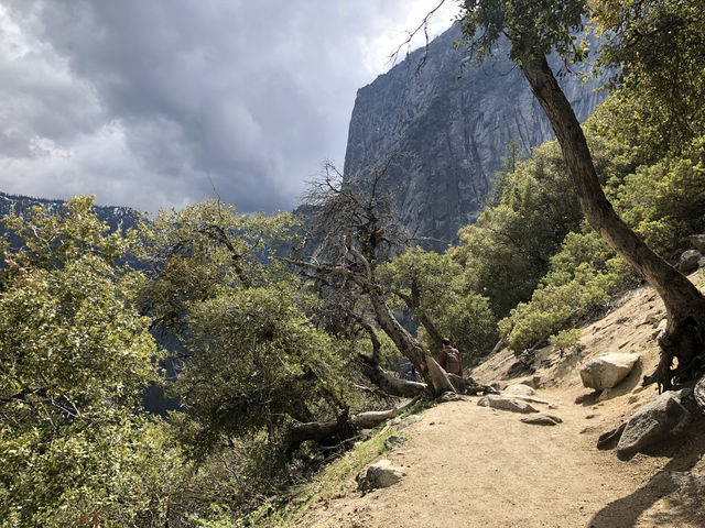 California | Yosemite National Park Photo Sharing 3