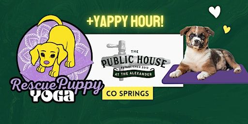 Rescue Puppy Yoga - The Public House | The Public House at The Alexander