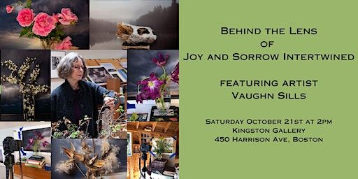 Joy and Sorrow Intertwined, Artist Talk featuring Vaughn Sills | Kingston Gallery