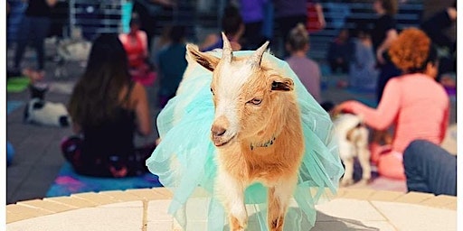 Goat Yoga @ Bedford Library | Bedford Public Library