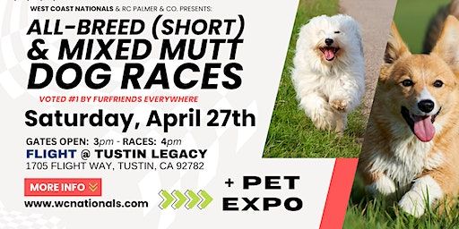 All-Breed (short) & Mixed Dog Races | WC Nationals TM | Mess Hall at FLIGHT