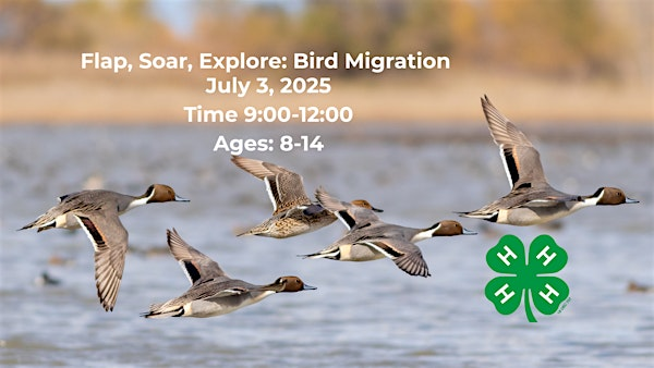 Flap, Soar, Explore: Bird Migration | N.C. Cooperative Extension, Currituck County Center
