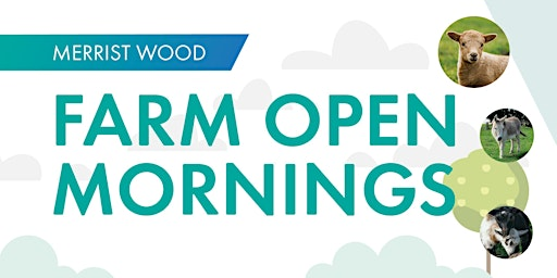 Merrist Wood Farm Open Mornings. | Merrist Wood College