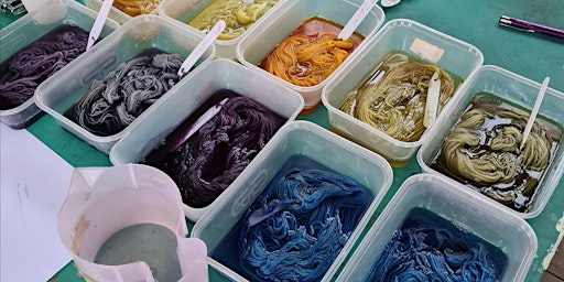 Introduction to Natural Dyeing | Sunny Bank Mills Gallery