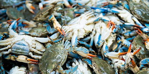 Crabs for a Cause 2026 | Cumberland Outdoor Club